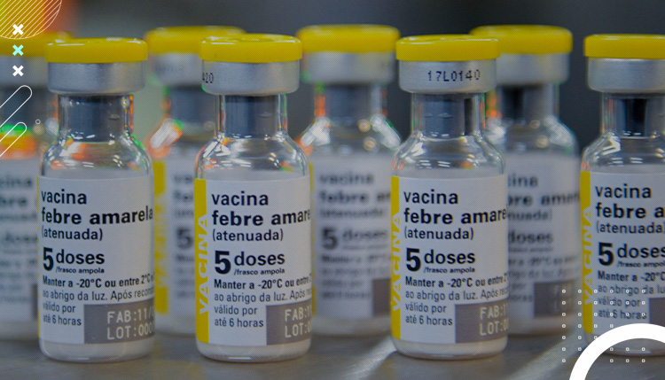 Transporte da vacina contra a febre amarela: o que é importante saber sobre  — DC Logistics Brasil