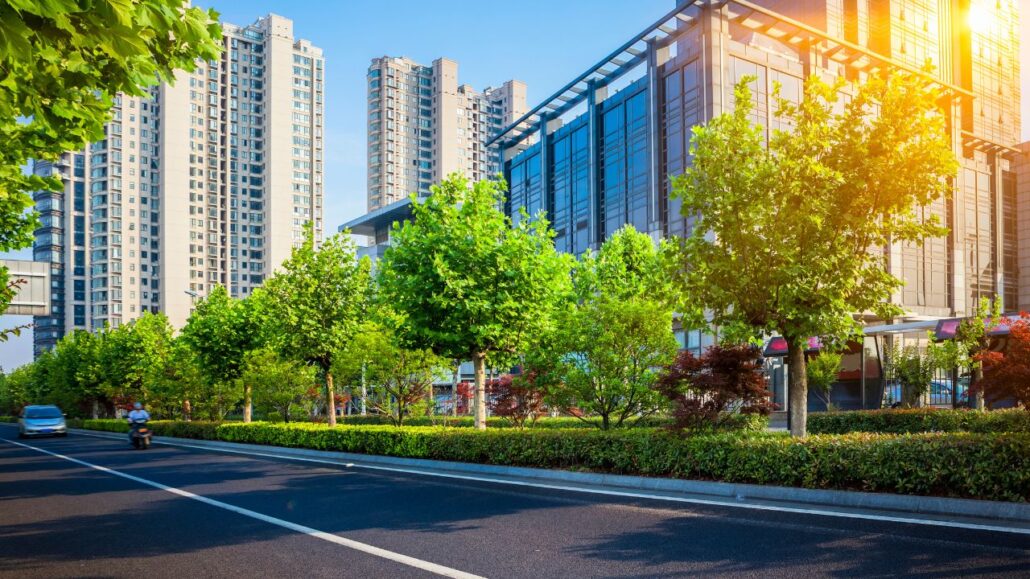 Tree Cities of the World