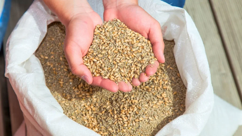 Logística de ração animal sendo transportada para exportação